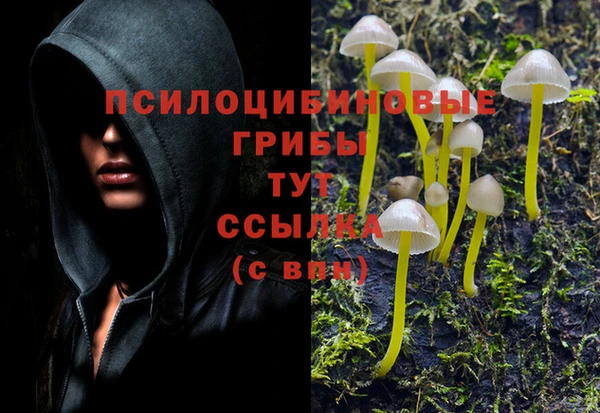 герыч Абдулино