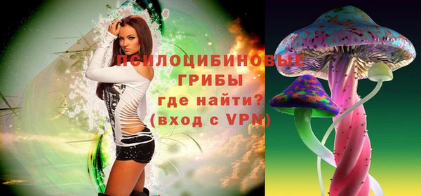 стаф Абаза