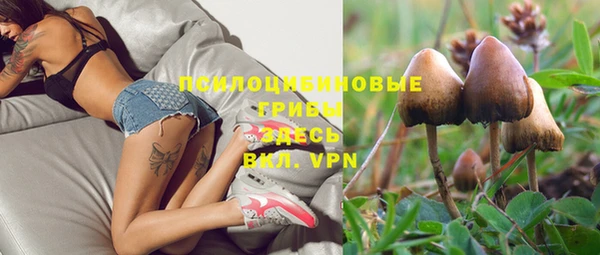 прущие крисы Михайловка