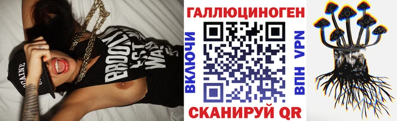 Псилоцибиновые грибы Cubensis  Томилино 
