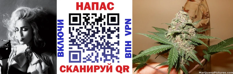 купить   Томилино  Марихуана Amnesia 